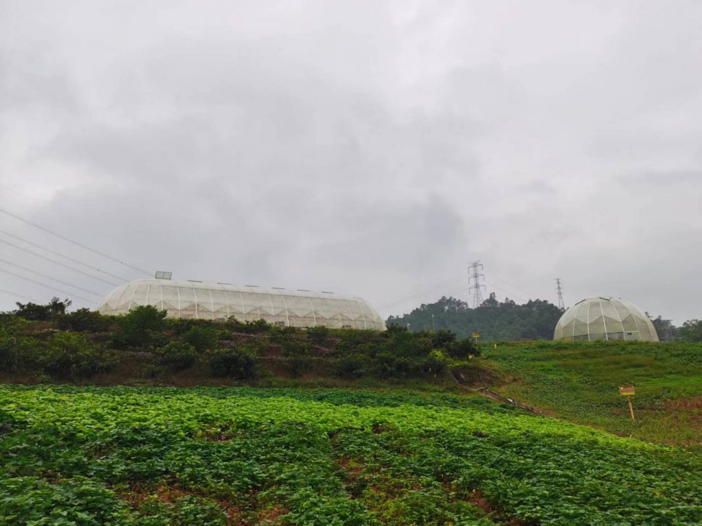 深圳市农业科技促进中心试验示范场