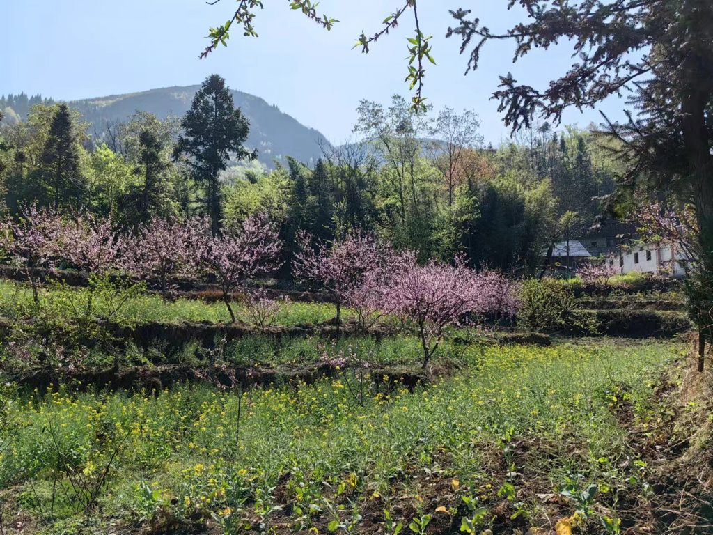 纳雍县新房乡滥坝村